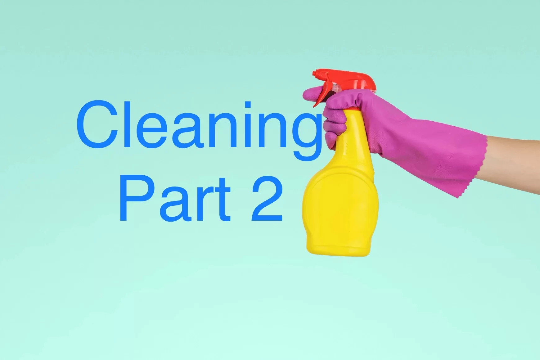 Best Cleaners For Home Part 2